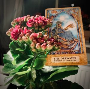 Tarot Knight of mirrors